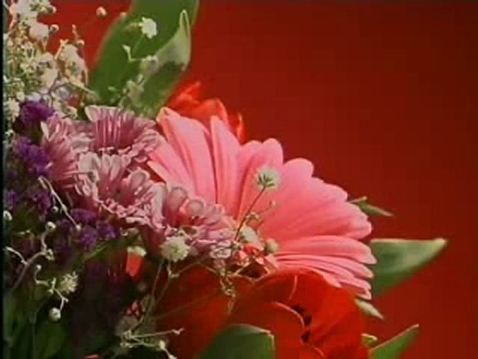 Best Camera DSLR for Beginners | Best Cameras for Photography