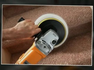 Best Carpet Cleaner Company in  Westminster CO