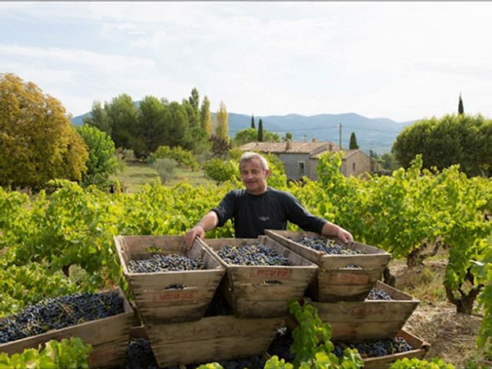 Pour vous ou pour offir ! Louez votre propre parcelle de vignoble et recevez votre production de vin AOC/AOP