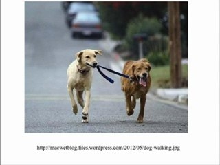 Machine Learning: Crossing the Barrier of Meaning