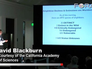 Species Extinction: A Global Amphibian Epidemic