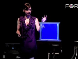 New DIY Light Effects with Smart Materials