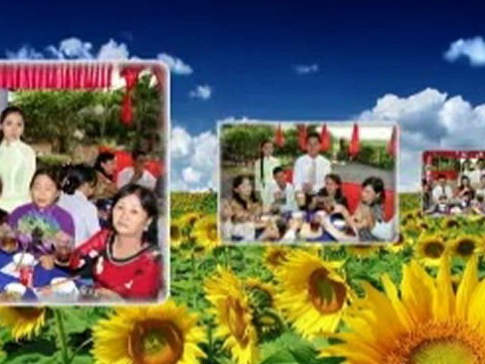 wedding Studio QT