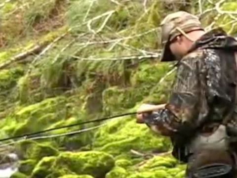 Todd Moen - Fluss des Lebens 3