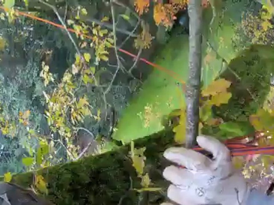 video riviere cs