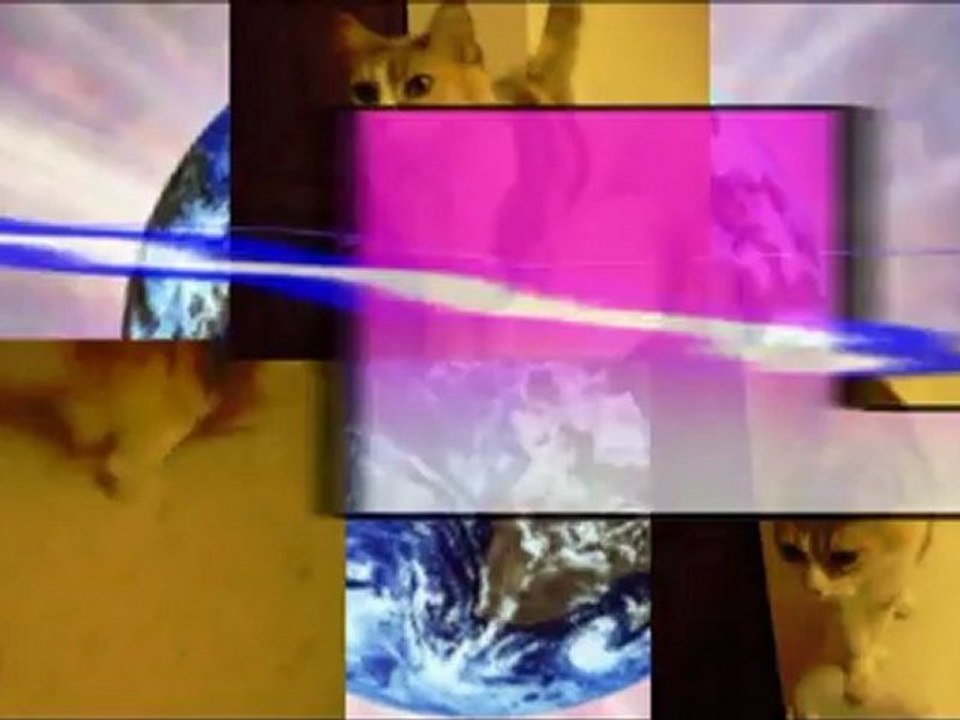 Ma Vieille Chatte .....