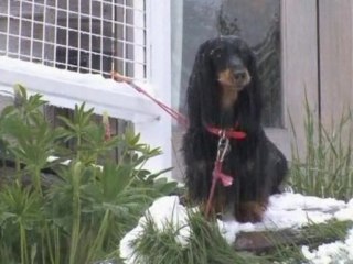 Fires burn in Sydney as snow freezes Victoria