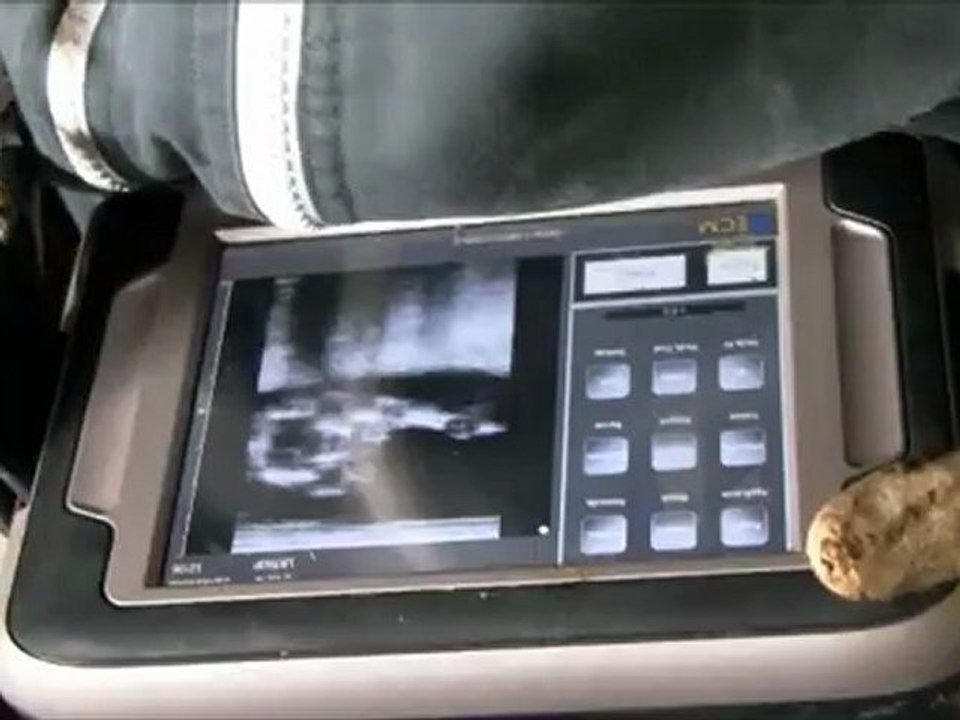 TOUCH GENERATION  IMAGO : Excellence at your fingertips