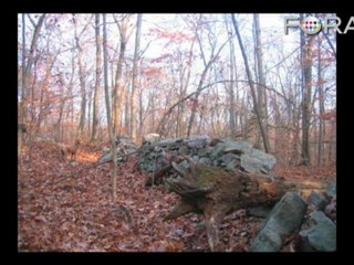 Can the Earth Feed a Population of 9 Billion People?