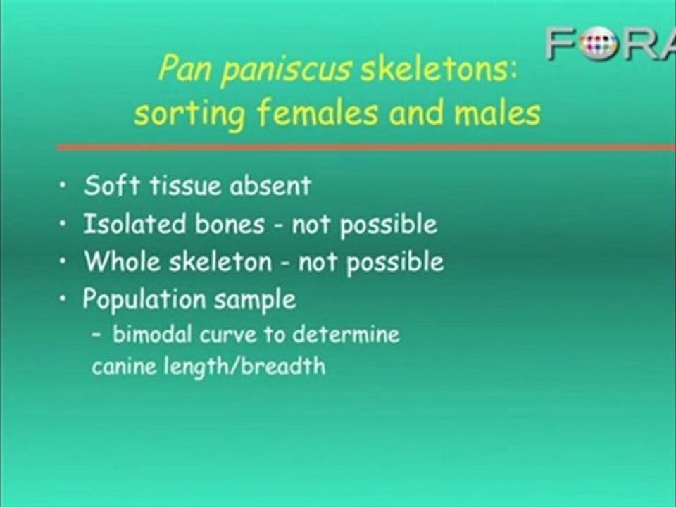 Was Lucy Male? Comparing the Gender of Human-Like Fossils