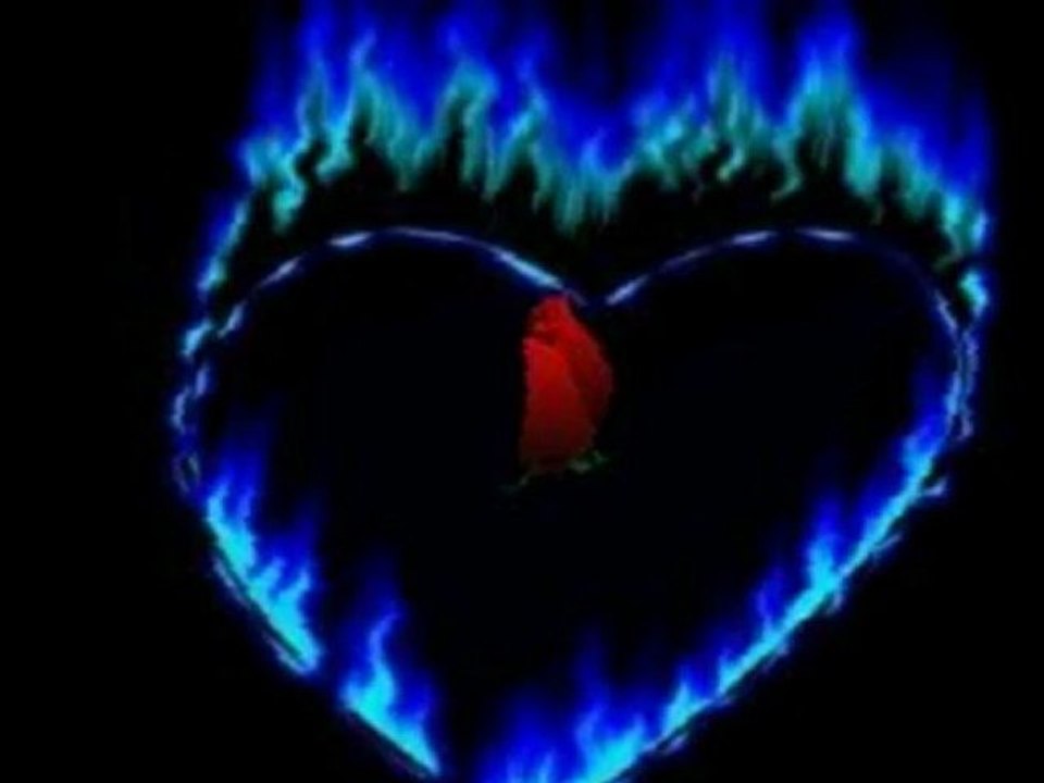 Gani Kürüklü Gecelerin Kadınıyım (Beyaz Gülün)