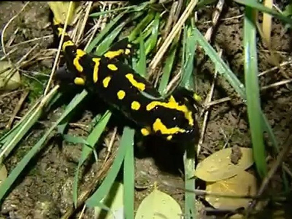 Météo à la carte : Zap Hibernation