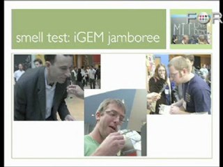 Designing and Building Organisms: Simple As Writing Code