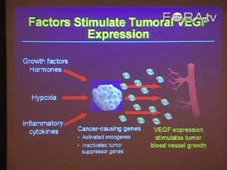 Inhibiting Cancer Growth with Antibodies