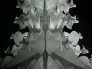 cybernetio meets titan vs gold diggers