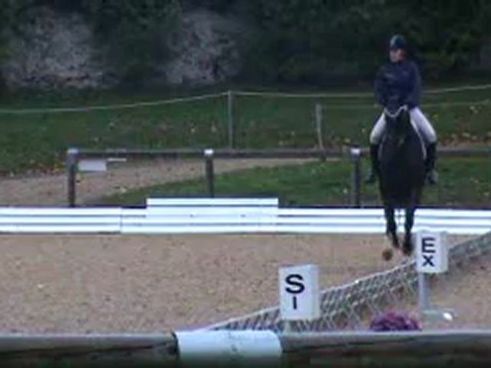 Dreassage oberon pompadour