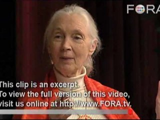 Jane Goodall Discusses Global Overpopulation