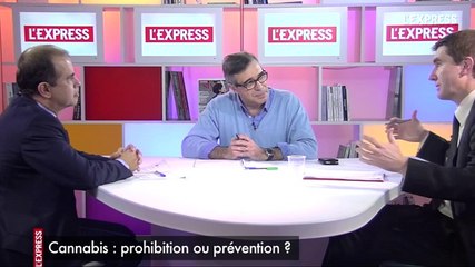 Dépénaliser le cannabis permettra-t-il de limiter la consommation?