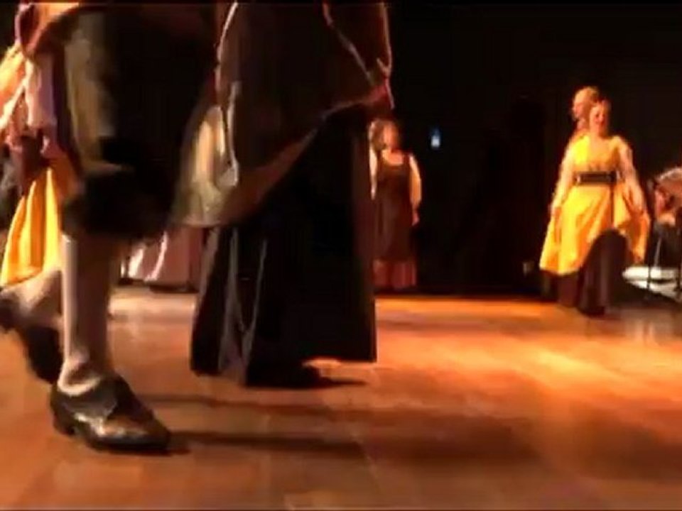 renaissance final dvd pal avi