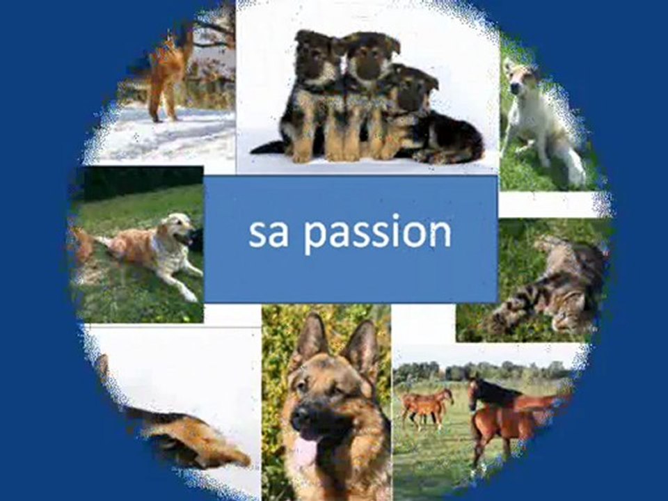 bergers allemands lyon