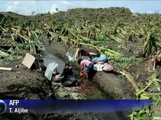 Le typhon Bopha fait au moins 239 morts aux Philippines