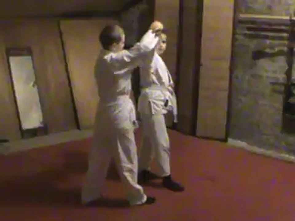 Bunkai : gedan kosa dori ikkyo ura