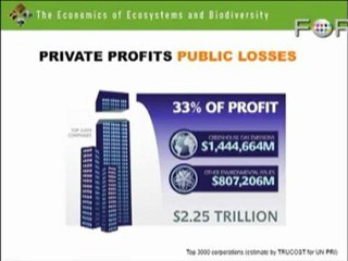 Pavan Sukhdev: Can You Put a Price on Nature?