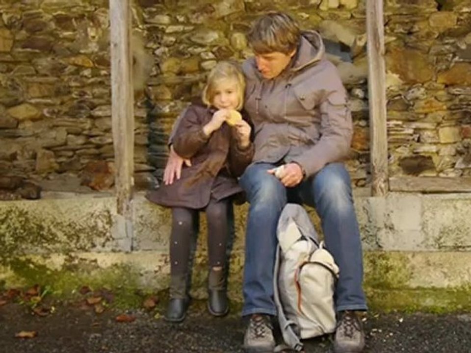 animal instinct (The Cranberries) cover