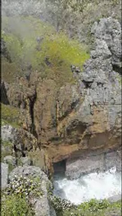 Punakaiki
