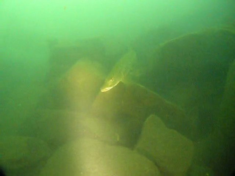 BROCHET