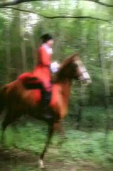 Vidéo sur le thème du pacte des loups.