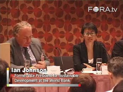 Ian Johnson Clarifies the Clean Development Mechanism