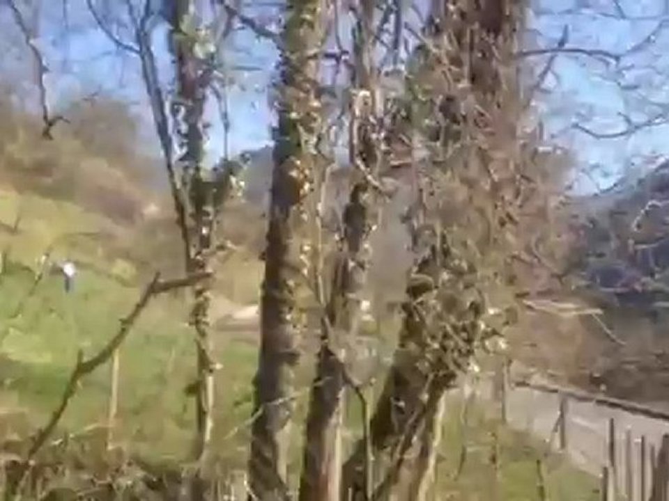 rallye de faverges Esserieux 1