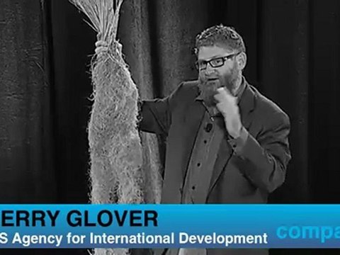 Breeding Perennial Grain Crops