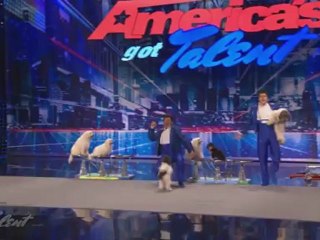 America_s Got Talent - Jumping Dogs Best Performance