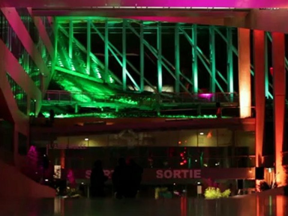 Jardins intérieurs - Une nature idéale [Fête des Lumières 2012]