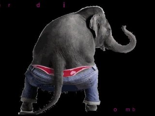 Suita etno (colaj cantece copiii)