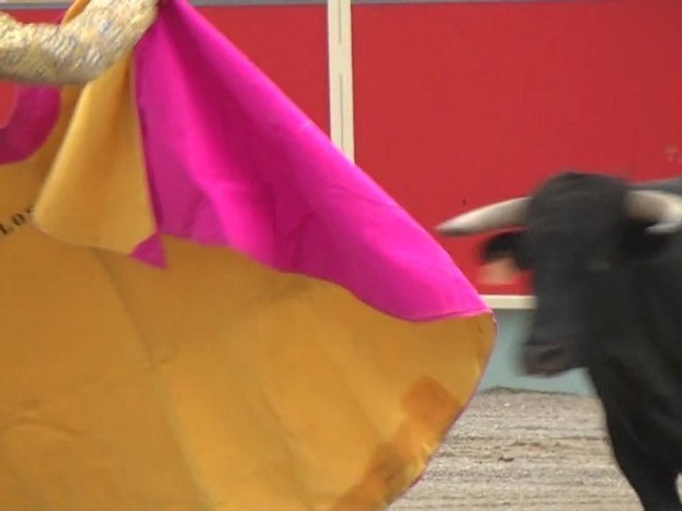 L'association "Carcassonne toros" a été chargée de l'organisation des corridas estivales à Carcassonne.