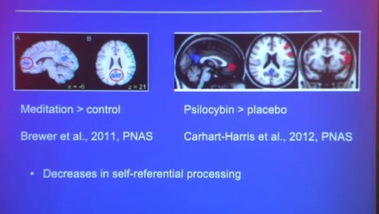 Griffiths: Psilocybin Mimics Effects of Meditation