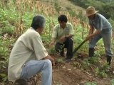 México apuesta por la protección del agua y la reforestación | Global 3000