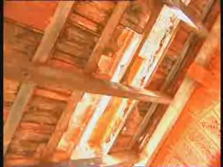 FEAR IN POLYTECHNIC COLLEGE - Nellore News