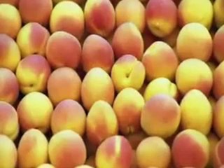 ığdır @ hüseyin bağcı yayınları