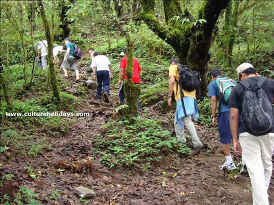 Nepal Tour Packages India