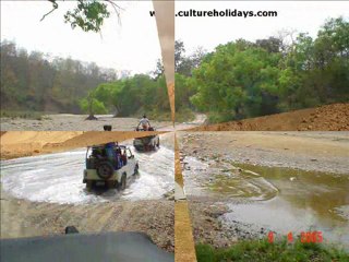 Best Adventure Tour Packages India
