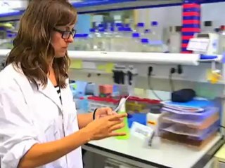 El medi ambient: Els cucs infinits