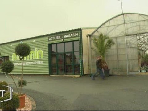 Plantations : Le moment idéal pour les arbres (Les Essarts)