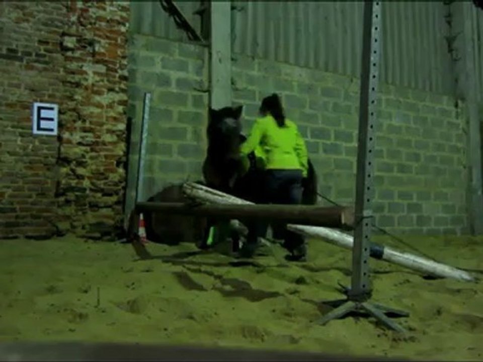 Séance saut du 30 novembre 2012