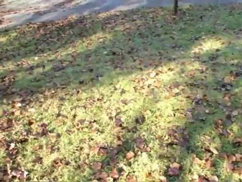 1805 Colonial Ridge Rd, Johnson City, TN