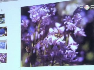 Burtynsky: Carbon Transfer Photos Will Last 10,000 Years
