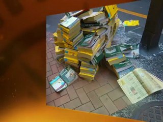 SEO Valparaiso Indiana 219-210-6000 The Little Guy Marketing